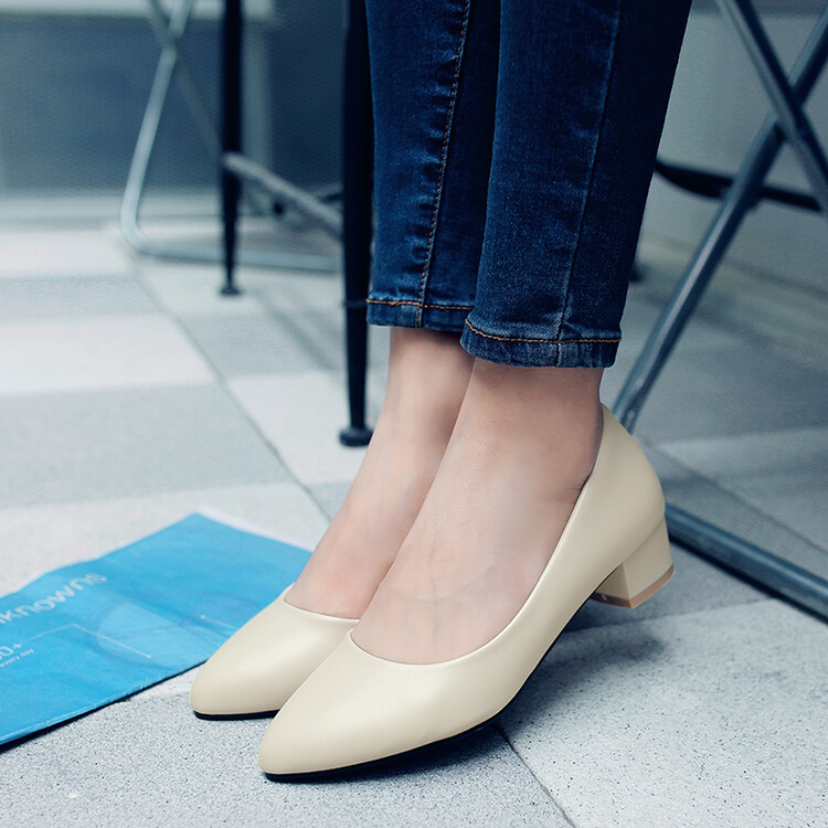Women's Fashion Flat Shoes with Chunky Mid Heel and Pointed Toe